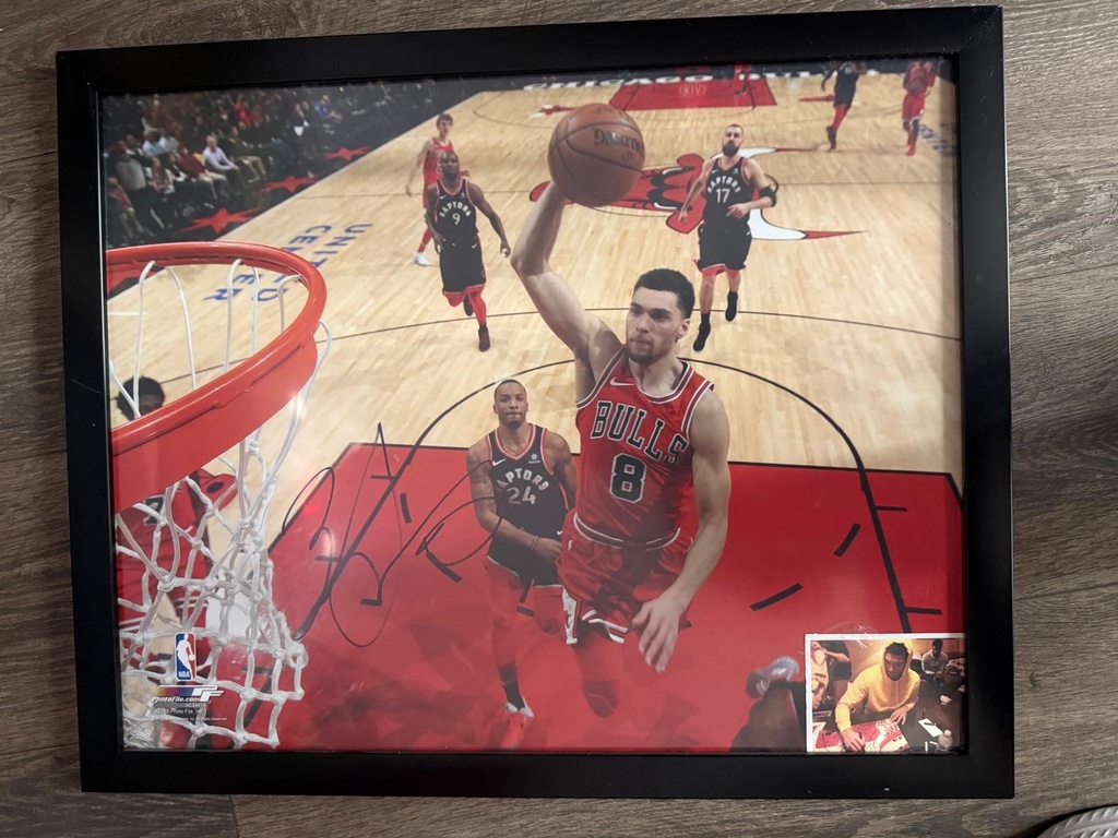 Framed Signed Zach LaVine Dunk Photo (Chicago Bulls) - extra 1