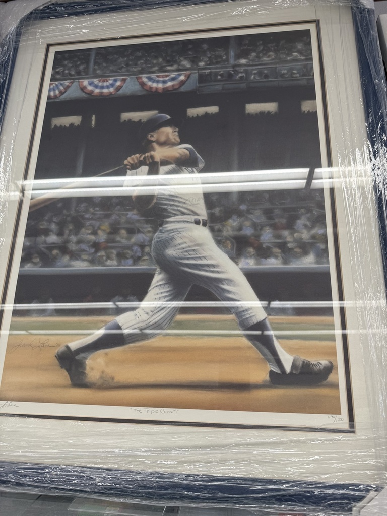 Framed Signed Baseball Action Print